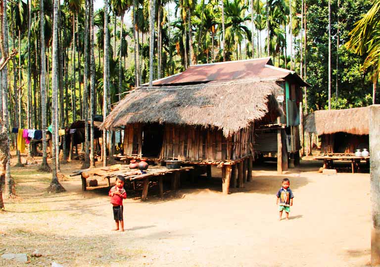 Totapara Road Trip